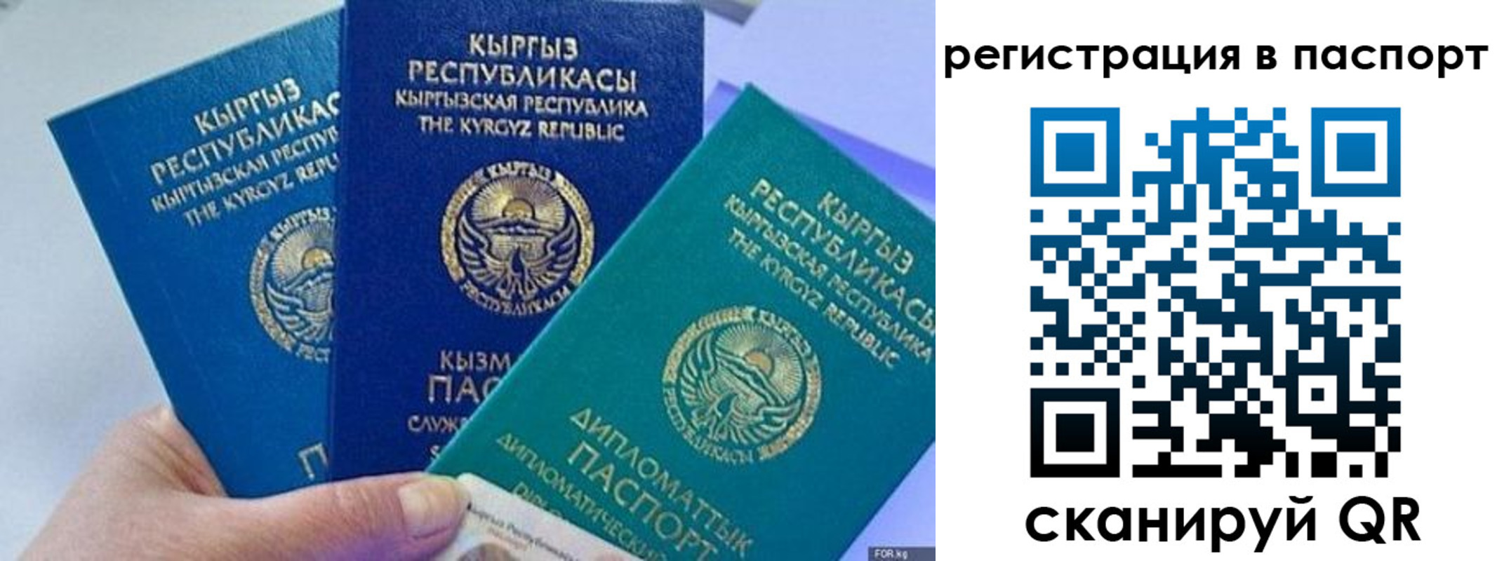 прописка 2025 в Шумихе